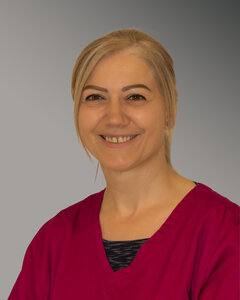 Meksida Avdic